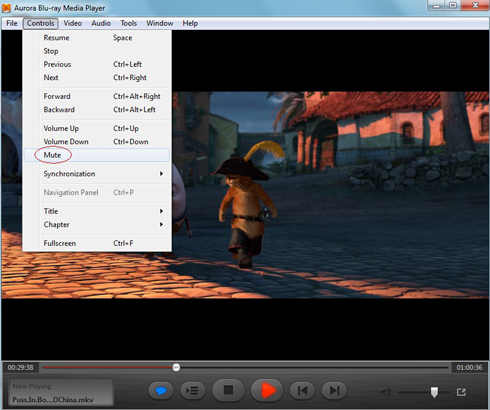 flv media player