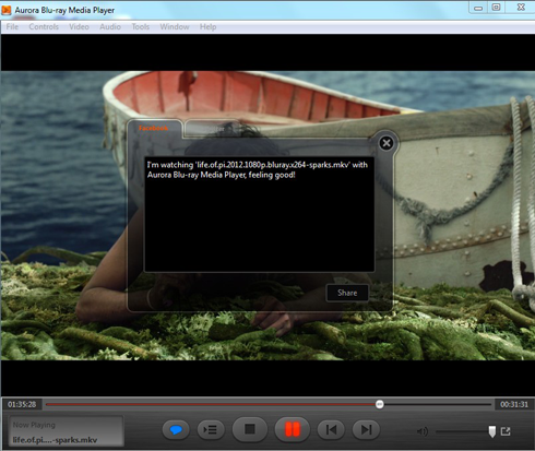 mkv media player